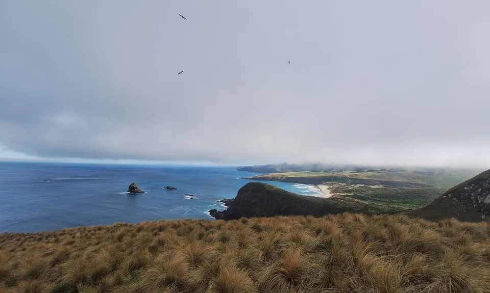 Sandymount - Sandfly Bay Loop, Otago
