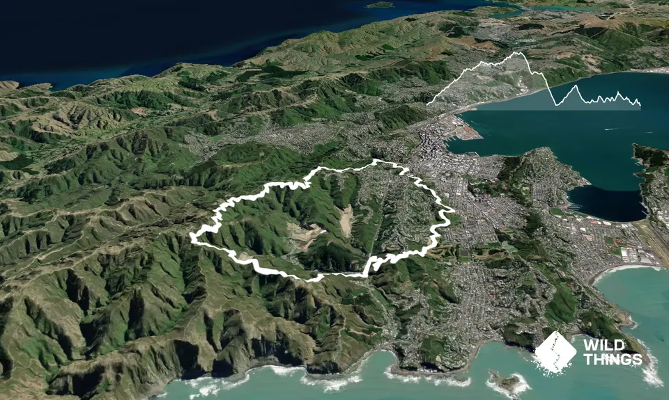Aro Valley / Tip Track loop, Wellington