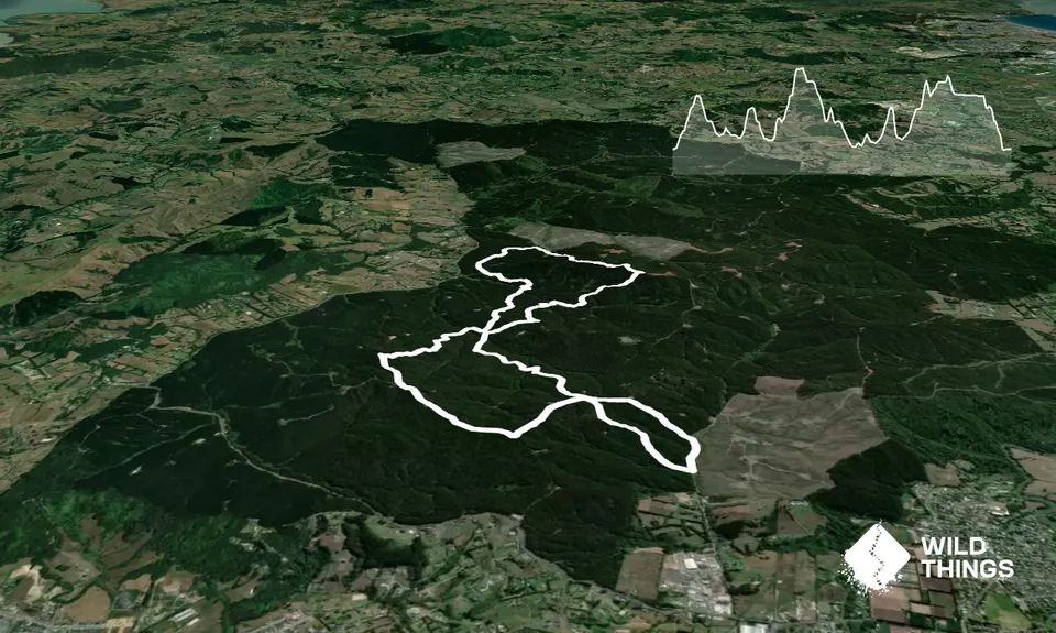 Riverhead Forestry Road 14KM, Auckland