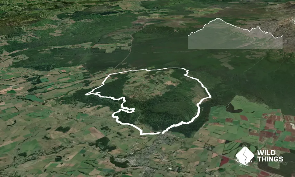Ohakune-Horopito Powderkeg Loop, Manawatu - Wanganui