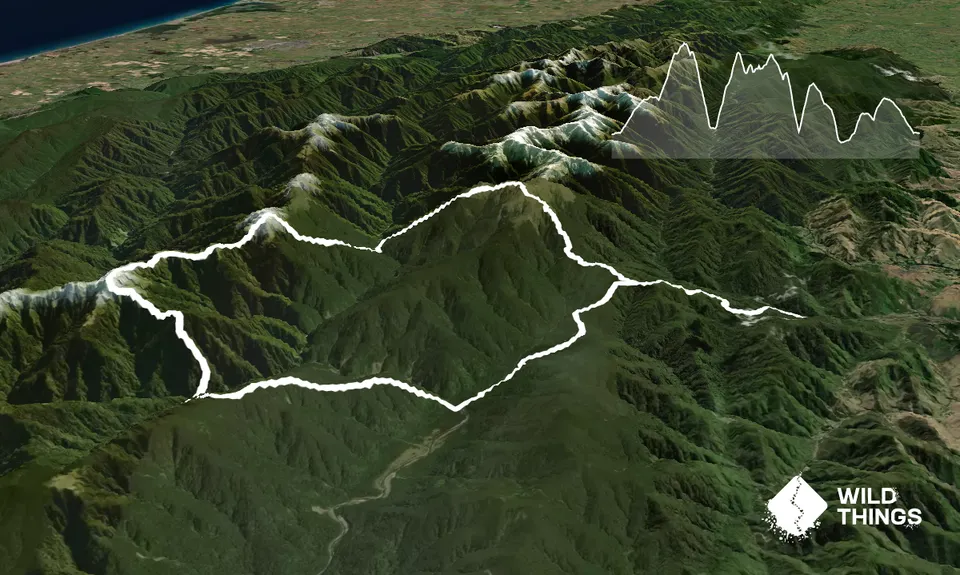 Holdsworth to Maungahuka Loop, Wellington