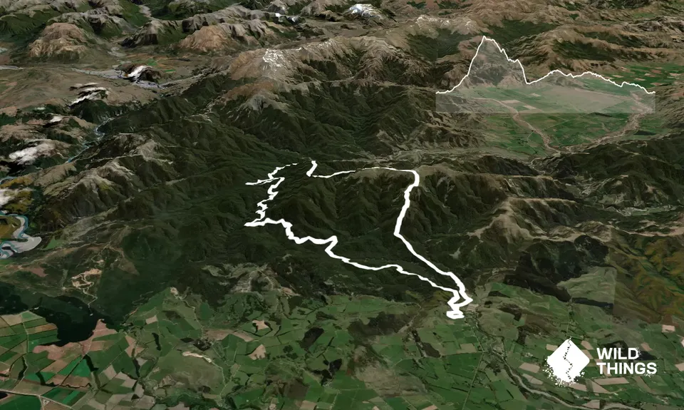 MOO 33km, Canterbury
