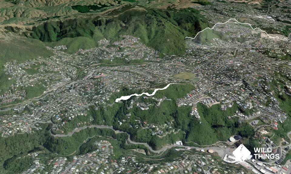Piwakawaka Track, Wellington