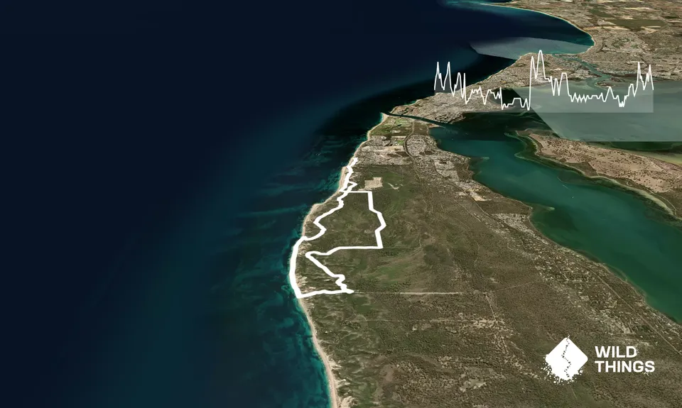 Melrose Beach to White Hill Loop, Western Australia