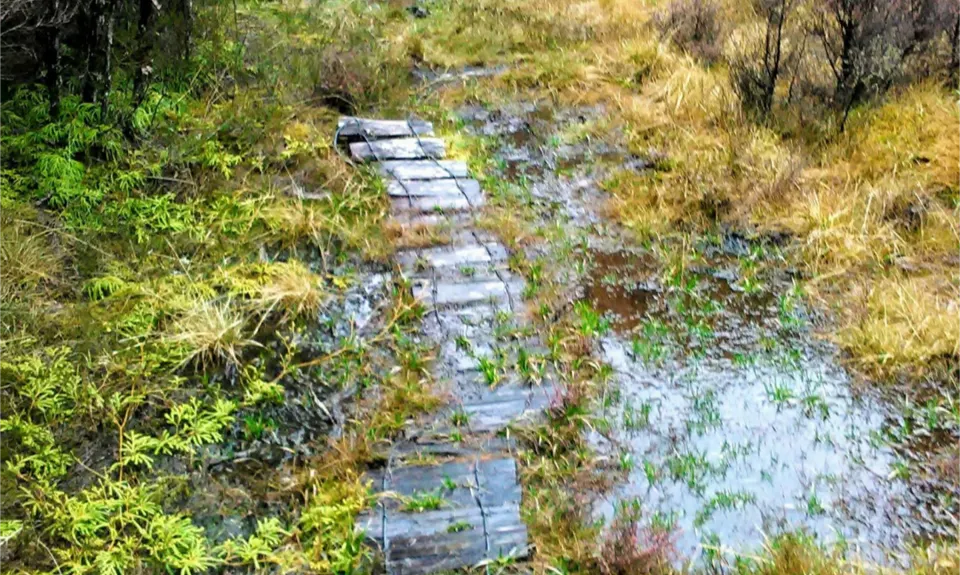 Horopito Schmito, Manawatu - Wanganui