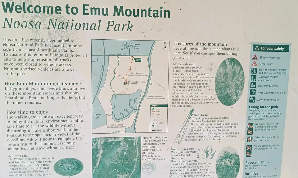 Search of the Emus, Queensland