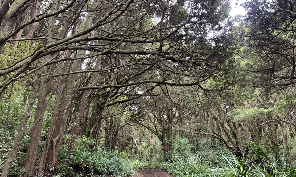 Second Date Loop, Southland