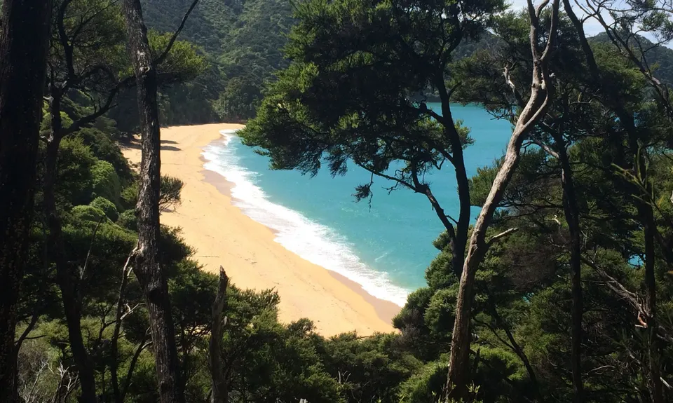 Separation Point Loop, Tasman