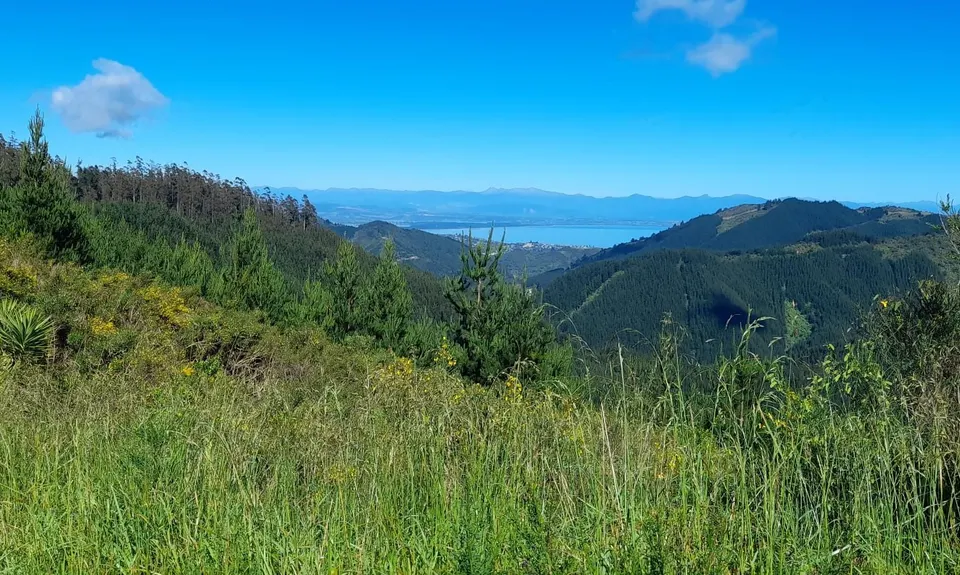 Sharlands-Central Road Loop, Nelson