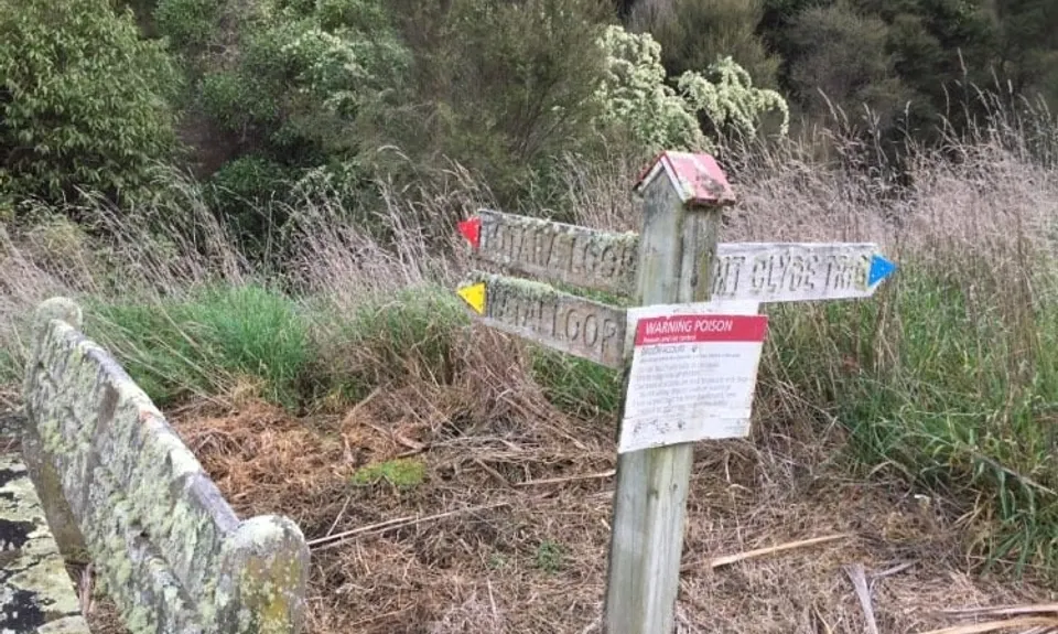 Rewanui Loops, Manawatu - Wanganui