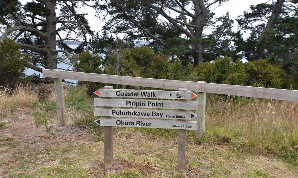 Long Bay Beach, Bush & Cliffs, Auckland