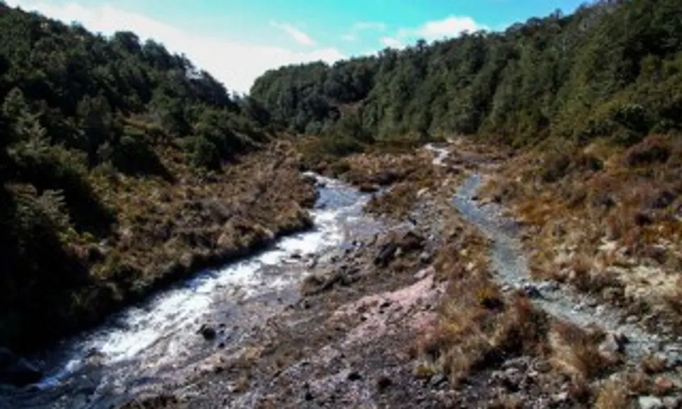 Silica Rapids trail, Manawatu - Wanganui