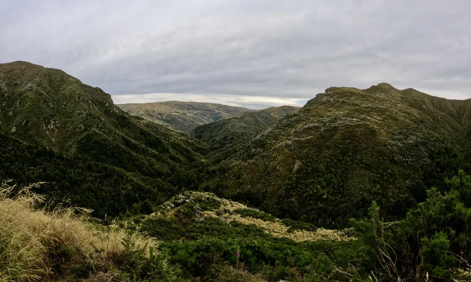 Silverpeaks Classic Loop, Otago