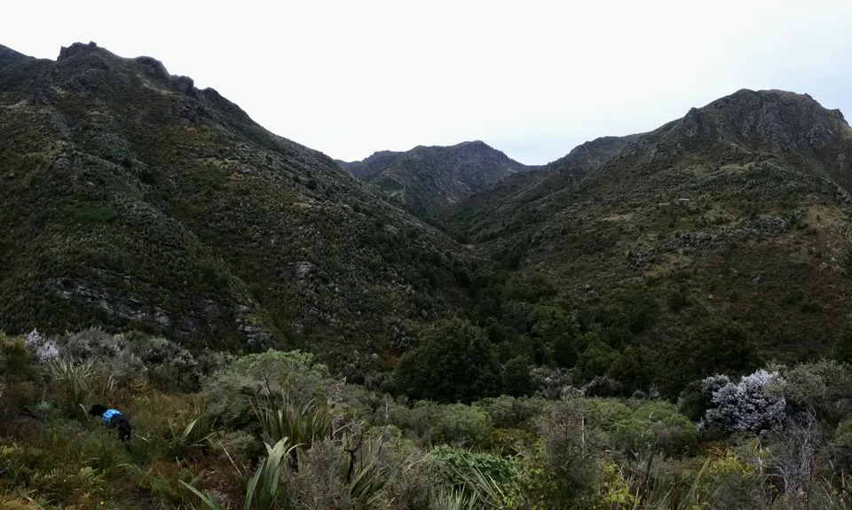 Silverpeaks Classic Loop, Otago
