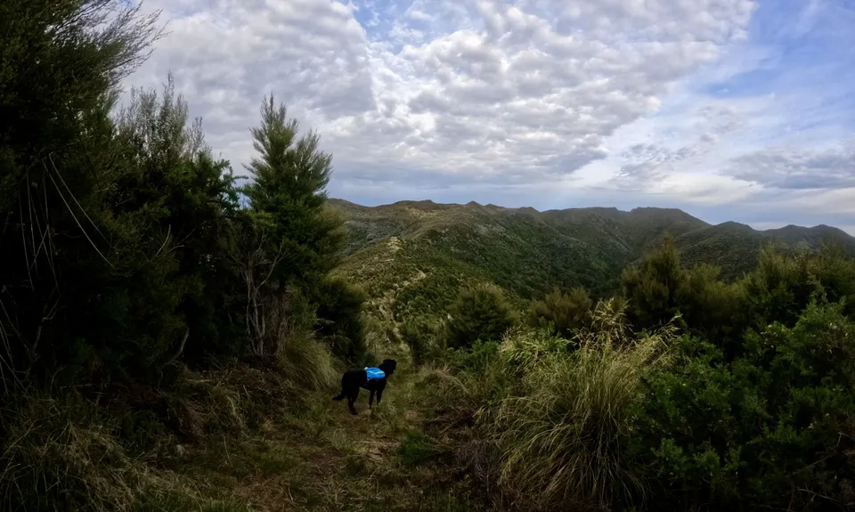 Silverpeaks Classic Loop, Otago