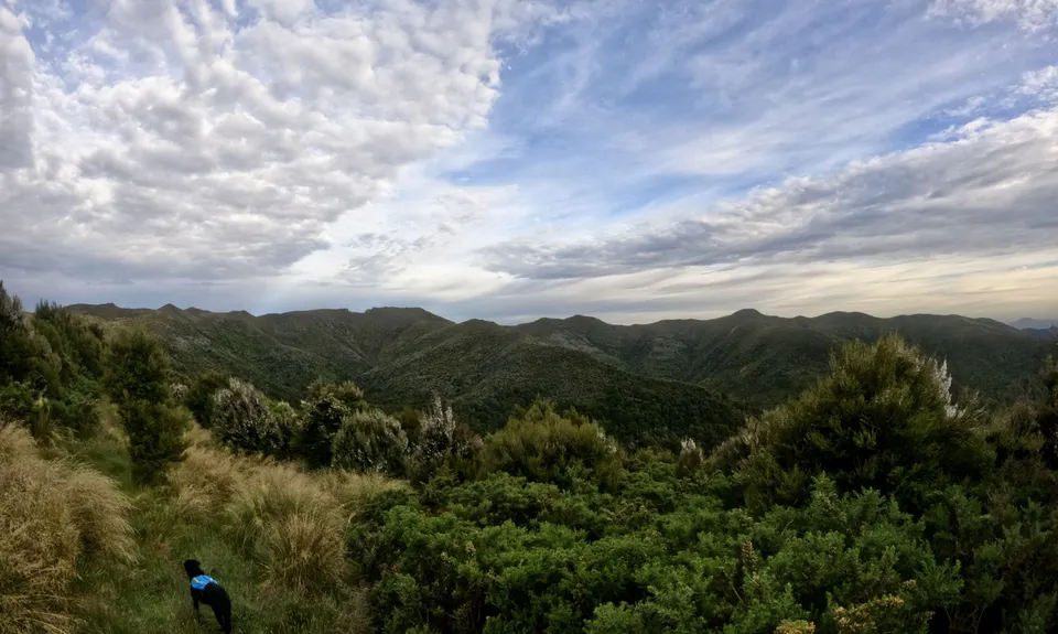 Silverpeaks Classic Loop, Otago