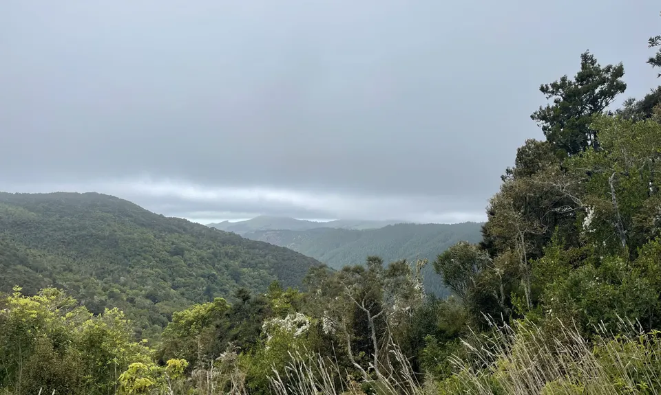 Silverpeaks Pure, Otago