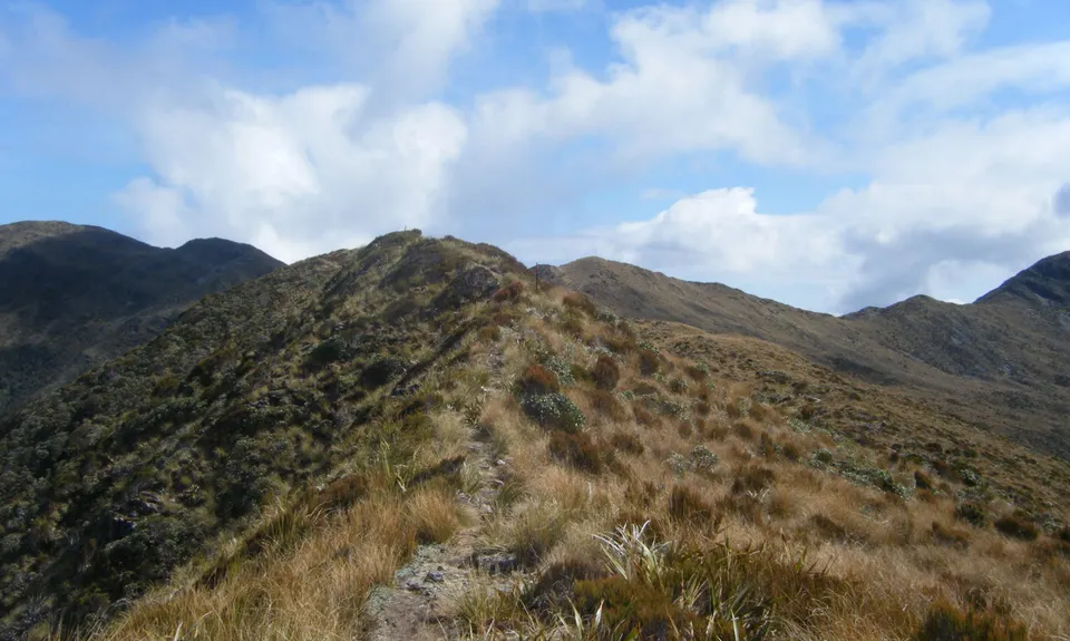 Croesus Crossing, West Coast