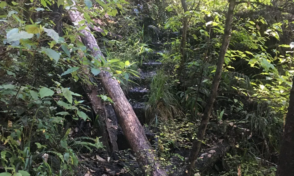 Six Mile - Matakitaki Walk, Murchison, Tasman