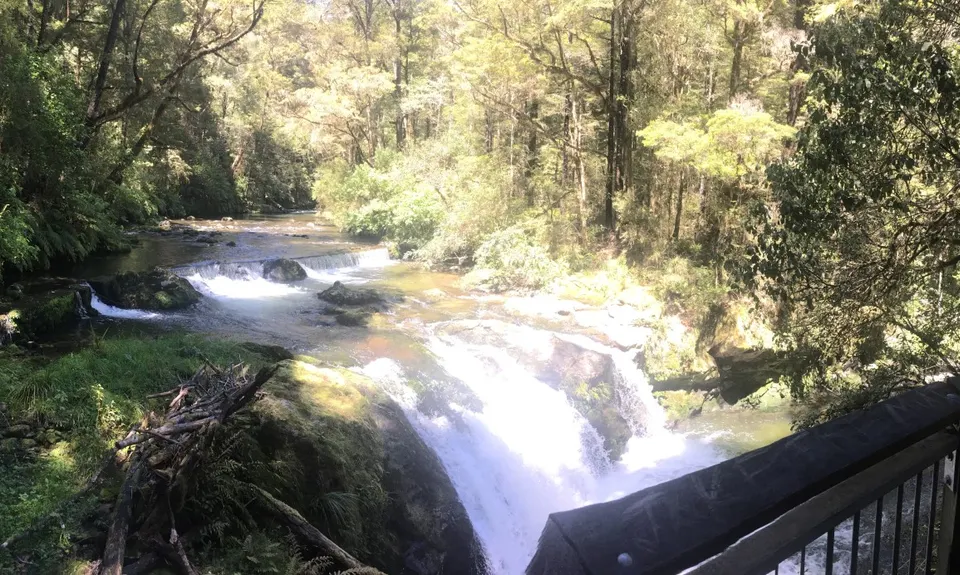Six Mile - Matakitaki Walk, Murchison, Tasman