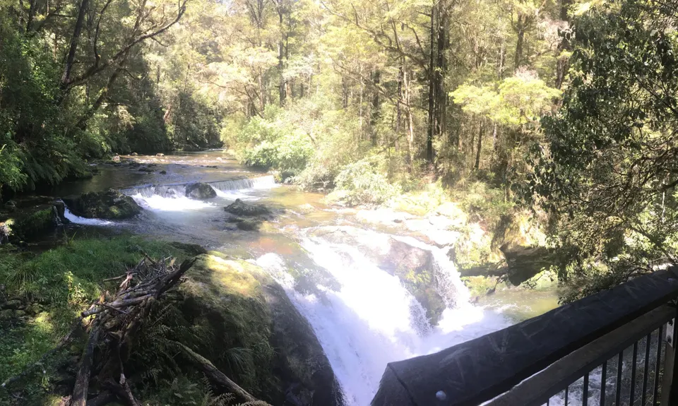 Six Mile - Matakitaki Walk, Murchison, Tasman