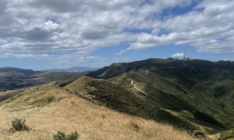 Skyline - Mt Kaukau, Wellington