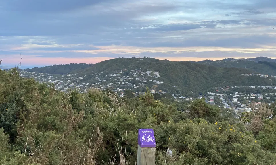 Skyline - Mt Kaukau, Wellington