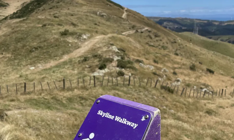 Skyline - Mt Kaukau, Wellington