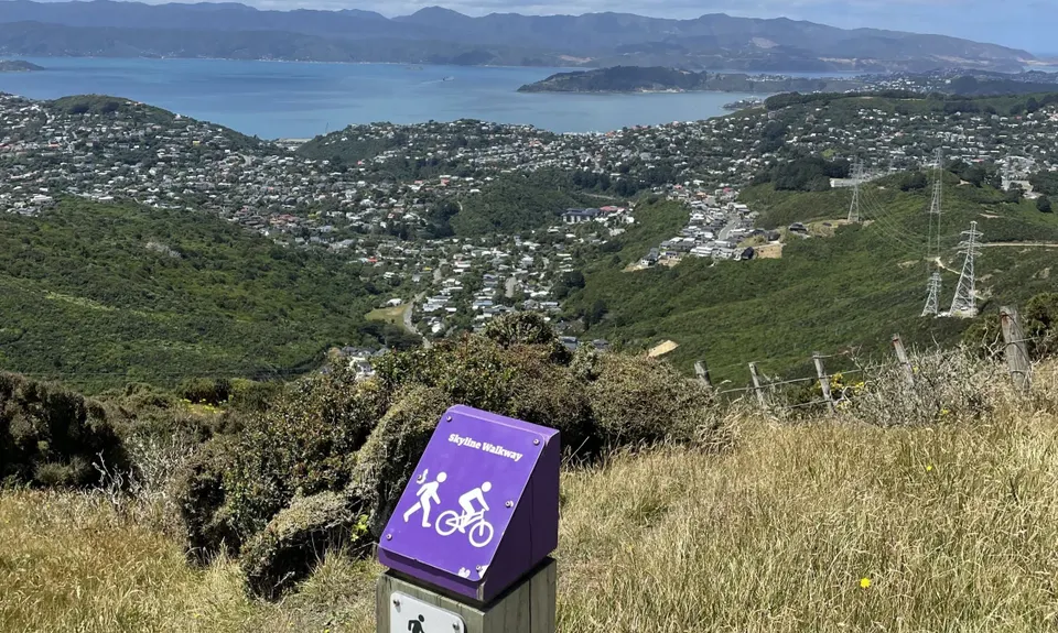 Skyline - Mt Kaukau, Wellington