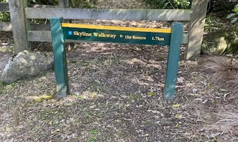 Skyline Track, Tasman