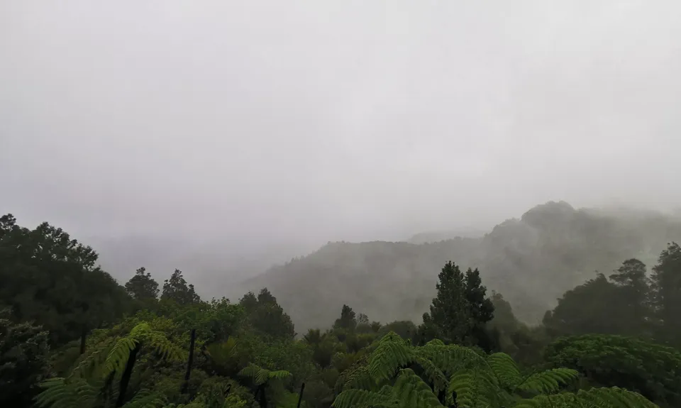 Slip Track from Titirangi, Auckland