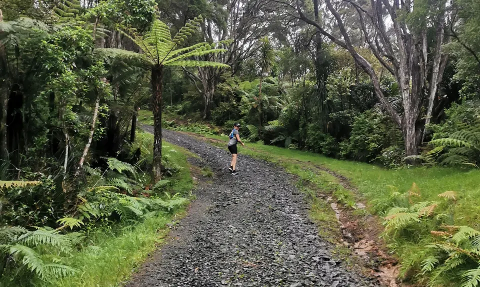 Slip Track from Titirangi, Auckland