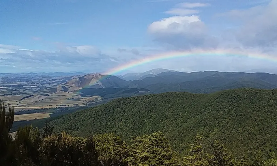 Mt Thomas Grunt, Canterbury
