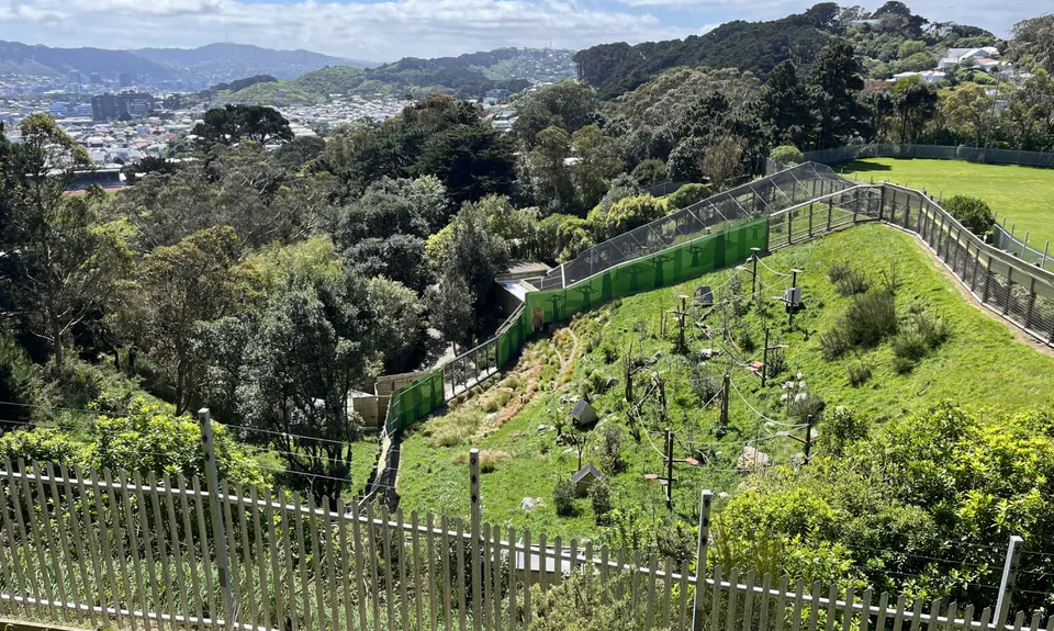 Southern Walkway, Wellington