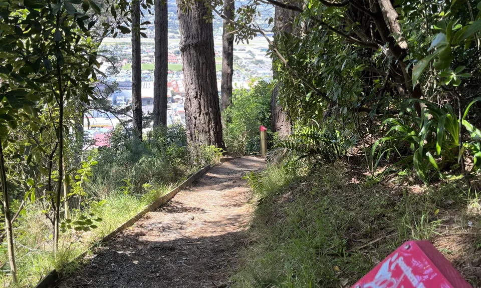 Southern Walkway, Wellington