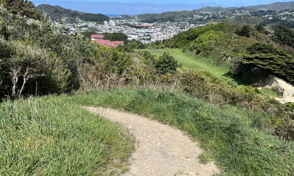 Southern Walkway, Wellington