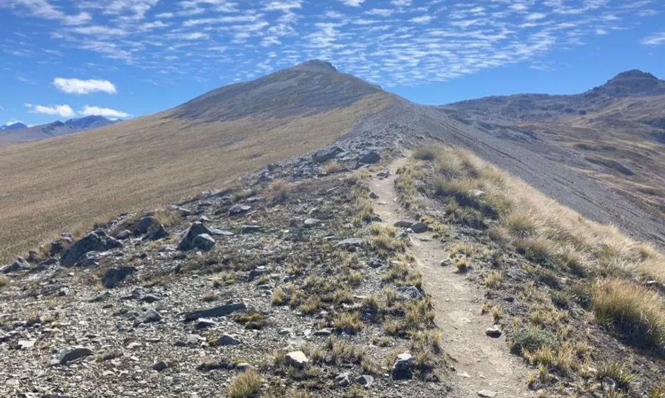 Stag Saddle and peaks around it, Canterbury
