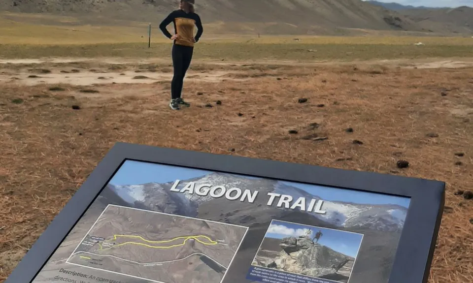 Tekapo Lagoon Loop , Canterbury