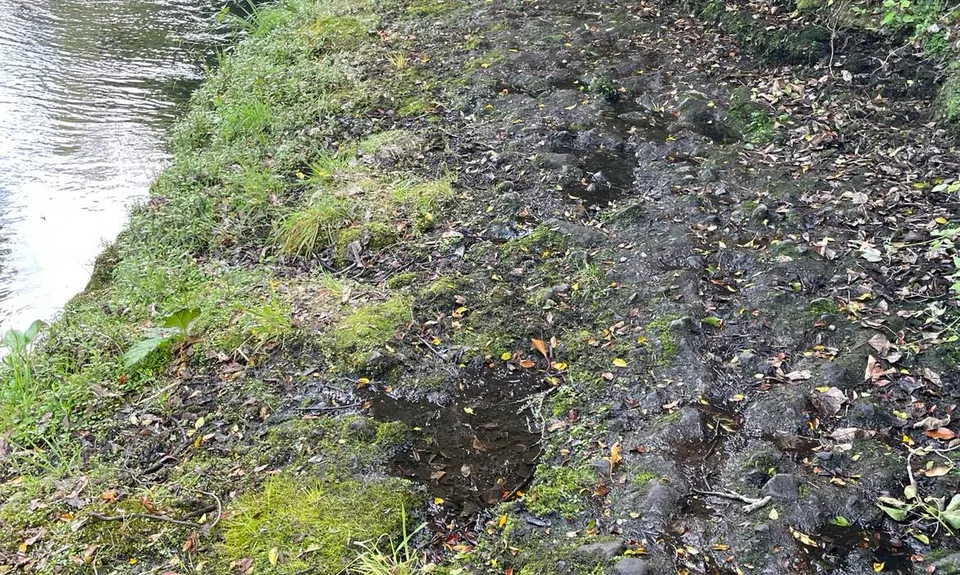 Stratford River Trail, Taranaki
