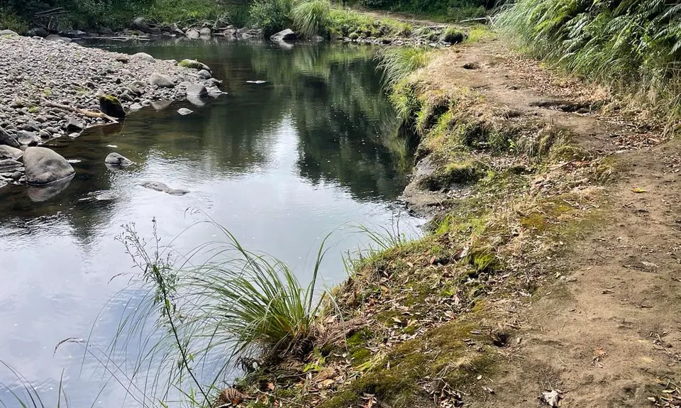 Stratford River Trail, Taranaki