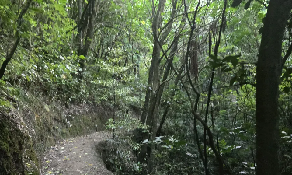 Sugarloaf and Waterfalls Loop, Wellington