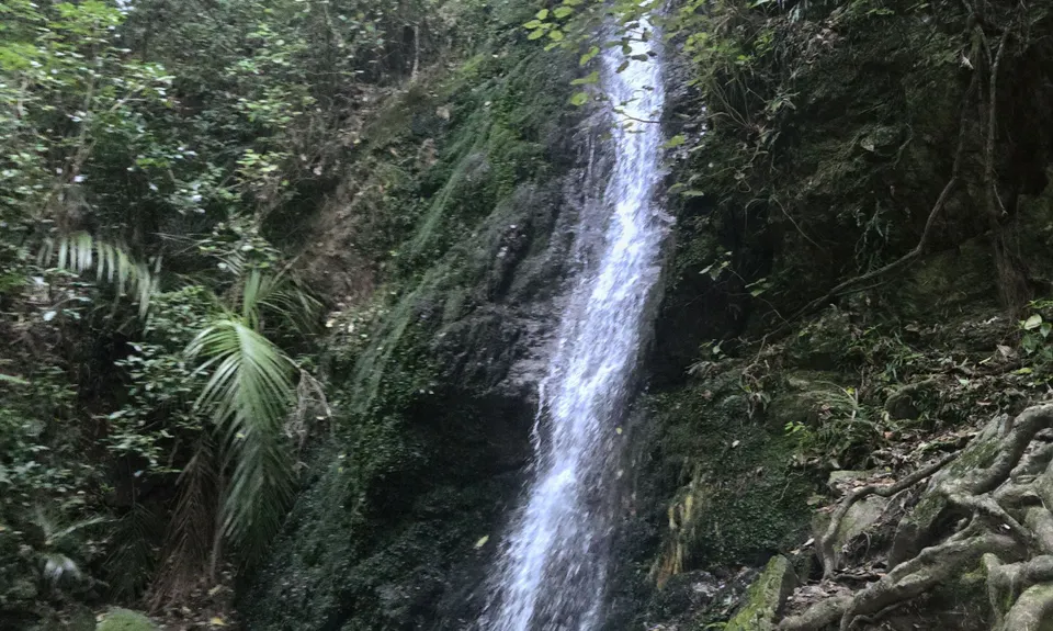 Sugarloaf and Waterfalls Loop, Wellington
