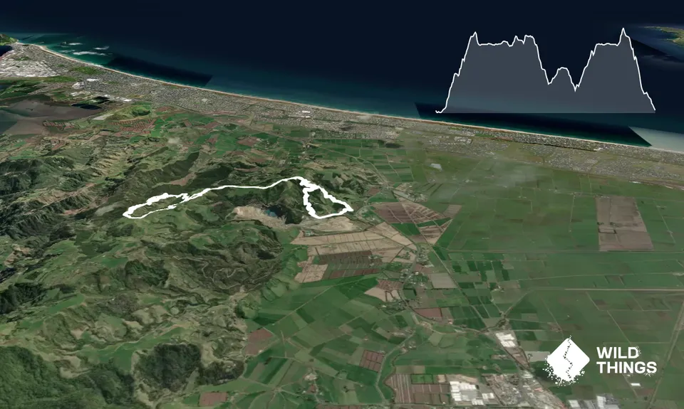 Summermoa, Bay of Plenty