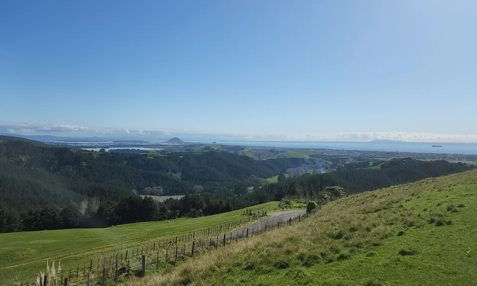 Summermoa, Bay of Plenty
