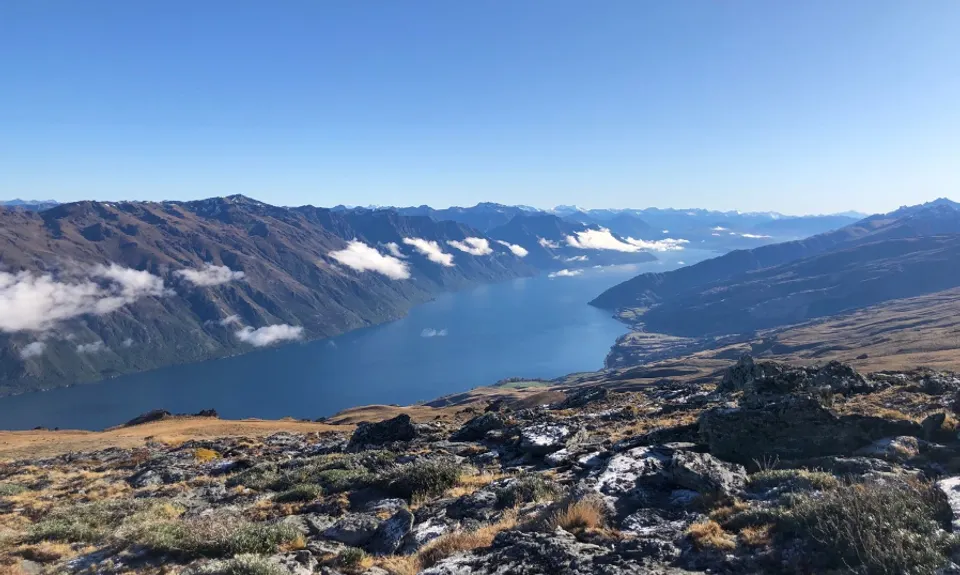 Lorn Peak Lunacy, Otago