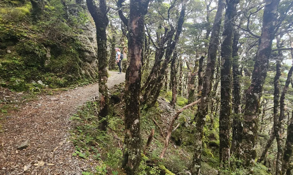 Sunrise Hut, Hawkes Bay