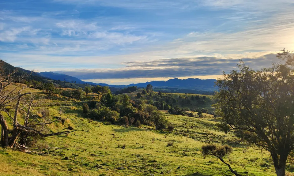 Sunrise Hut, Hawkes Bay