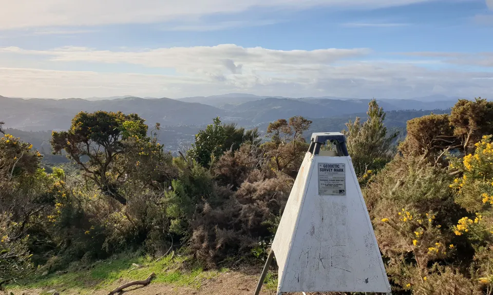 Fairy House Loop, Wellington