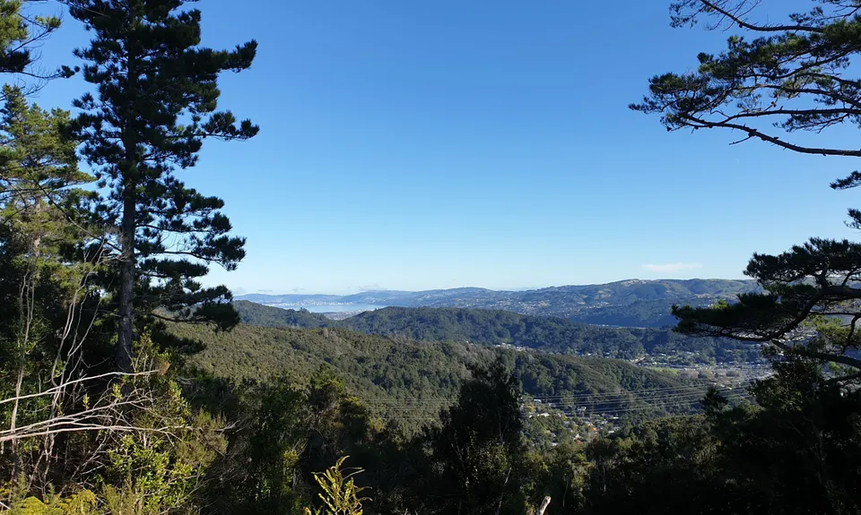 Fairy House Loop, Wellington