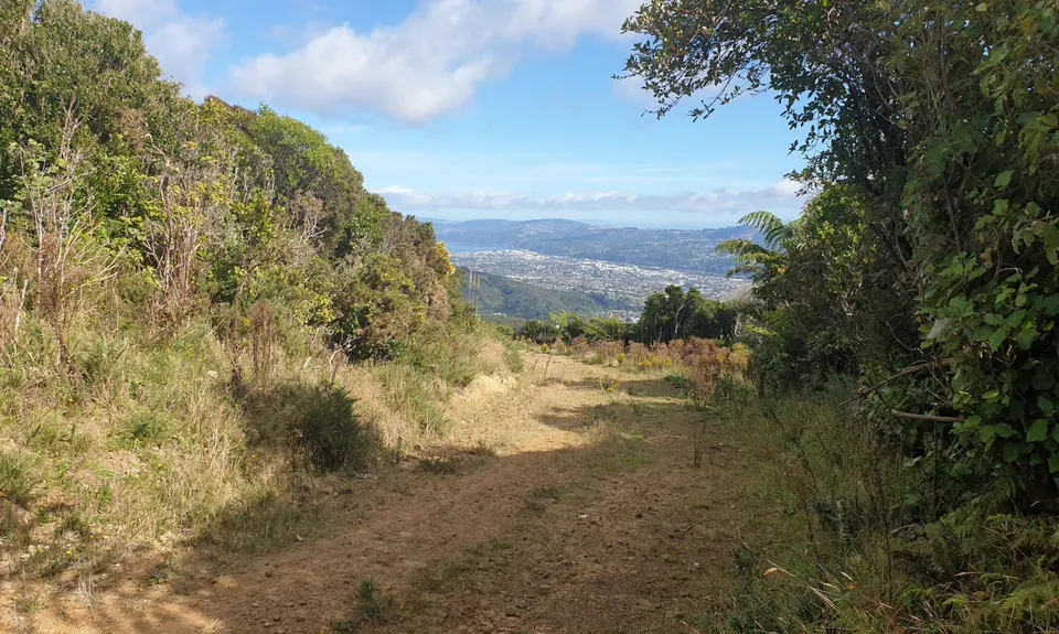 Fairy House Loop, Wellington